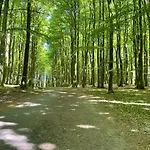 Sommerwind - Villa Helene Mit Meerblick In Top Lage